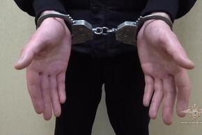 На Кубани задержали одного из подозреваемых в нападении на питерского бизнесмена