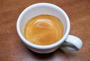 Оппозиция в Сербии объявила голодовку, COVID-19 продолжает мутировать: что произошло, пока вы спали