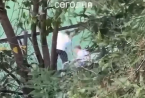 Отец на глазах у прохожих жестоко избил сына ремнем в Сочи