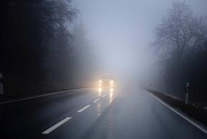 Полиция Кубани обратилась к водителям в связи с сильным туманом на дорогах региона