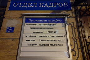 Рекорд мира: в Ингушетии директор школы фиктивно устроил на работу сразу 15 человек