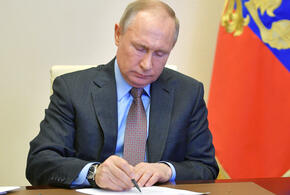 Путин подписал закон об ограничении использования телефонов в школах
