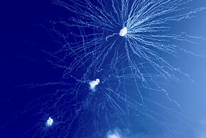 Российские средства ПВО перехватили девять БПЛА над Калужской и Московской областями