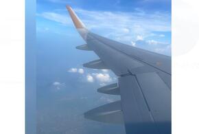 Самый дешевый перелет 29 и 30 декабря из Москвы в Сочи стоит больше 17 тысяч