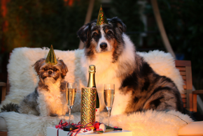 Краснодар оказался на 7-м месте по выделенному бюджету 