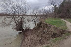 Сроки реализации проекта по укреплению берега Кубани в Краснодаре перенесли