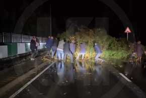 В Сочи штормовым ветром повалены десятки деревьев и сорваны крыши