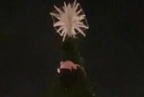 Женщина залезла на верхушку городской ёлки в Геленджике