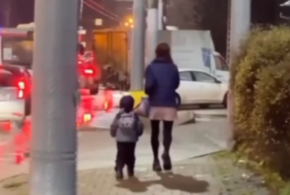 Ребенок на поводке гуляет с мамой по городу