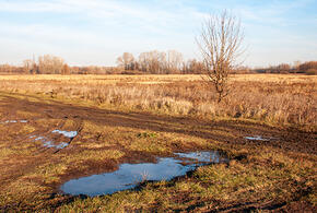 Агрокомплекс экс-губернатора Кубани Ткачева судится с властями Тимашевского района из-за права выкупа около 30 гектаров земли