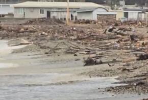 Блогер показал, как выглядят черноморские пляжи зимой