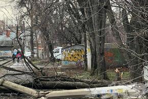 Упавшее дерево в Краснодаре повредило опору на трамвайных путях 