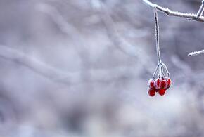 Гололед и сильный ветер прогнозируют синоптики на Кубани