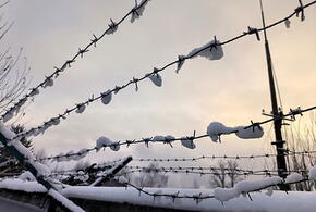 Извращенец из Краснодара  получил срок за публичное оскорбление символа воинской славы