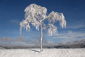 Минус 25: в ближайшие дни в Краснодарском крае резко похолодает