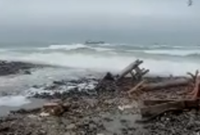 Природа делает то, за что долгие годы борются активисты