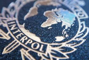 На Кубани задержали иностранца, которого разыскивает Интерпол