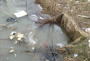 На улицах Краснодара из-за таяния снега и дождей образовались непроходимые лужи