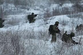 Новороссийские десантники выбили ВСУ с позиций у села Вербовое