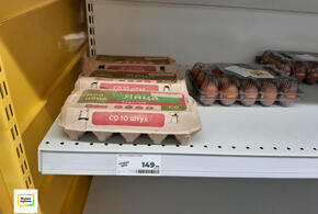 Одно-тут, два-там: из-за дороговизны в Сочи начали поштучно воровать яйца в магазинах