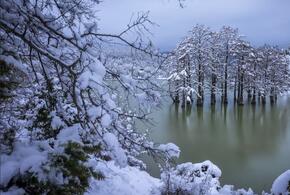 Под Анапой после сильных дождей Кипарисовое озеро наполнилось водой 