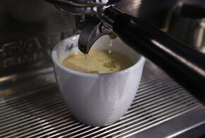 ПВО уничтожила 9 ракет ВСУ над Белгородом, Маск считает низкую рождаемость большой угрозой: что произошло пока вы спали