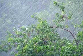 С плюс 15 до снега: в Сочи ожидают резкой смены погоды