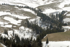 Самое время покупать: в Адыгее взлетела стоимость на новостройки, эксперты прогнозируют еще больший рост