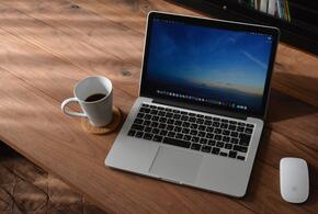 Школьники закидали 82-летнего пенсионера бутылками, и умер врач Вагаршак Овсепян: ТОП-5 за 2 января