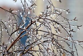 Синоптики рассказали о погоде в Краснодарском крае с 8 по 14 января