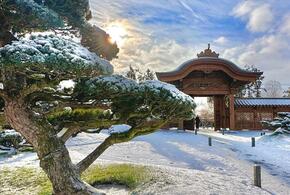 Строящийся «Парк Облаков» в Краснодаре превзойдет площадь «Японского сада» в 2,5 раза