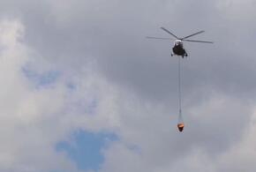 Ущерб от крупнейшего природного пожара в Геленджике оценили в 92 млн рублей