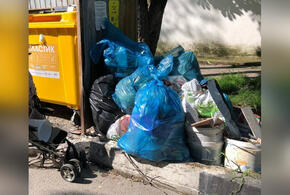 В Геленджике не перестают жаловаться на переполненные мусорные площадки