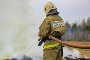 В Геленджике пожар в лесу выжег более гектара природной территории