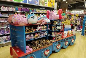 В Геленджике туристы из Москвы «обнесли» магазин игрушек