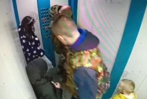 В Краснодаре после нападения питбуля на 4-летнего ребенка в лифте, отец написал заявление в полицию