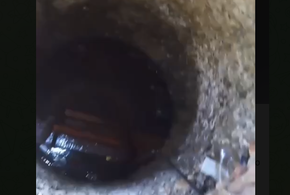 Спасатели человека спасли, а пса не сумели