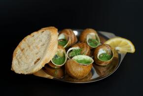 Житель Новороссийска потратил деньги по соцконтракту на разведение улиток