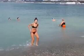+18: жители Геленджика купаются в февральском море