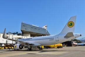 Аэропорт Сочи чествовал 100-тысячного пассажира с Uzbekistan Airways