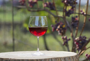 Ассортимент розовых вин в России вырос втрое за несколько последних лет