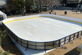 В Сочи появился бесплатный каток