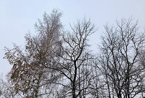 До плюс 17: на Кубани сегодня потеплеет почти по-весеннему