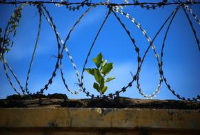 Экс-заместитель начальника Азово-Черноморского филиала «Главрыбвода» осуждён за взятки