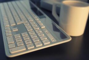 Крупные цветки на голых деревьях распустились в Сочи, а гости на свадьбе в Краснодаре устроили стрельбу: ТОП-5 за 25 февраля