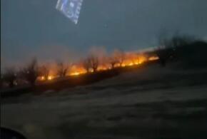 Крупный пожар произошел в садах под Ейском