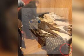 Многодетная мать четыре года спала в одной постели с мумифицированным мужем 