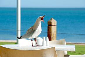 Мужчина взял в заложники людей в Турции, а к налоговой тайне граждан дадут доступ: что произошло, пока вы спали