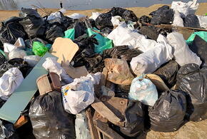 Новый мусорный полигон площадью 12 гектаров планируют открыть в 2024 году в Краснодаре