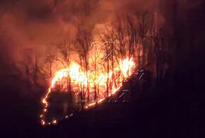 Огненное сердце: лесной пожар полыхал в Сочи